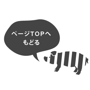 ページトップへ戻る